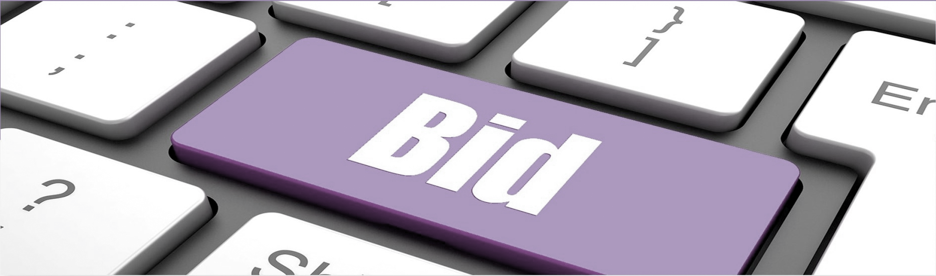 Parrot Bid Management